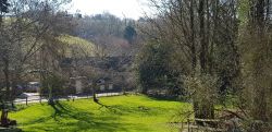 Village scene 2